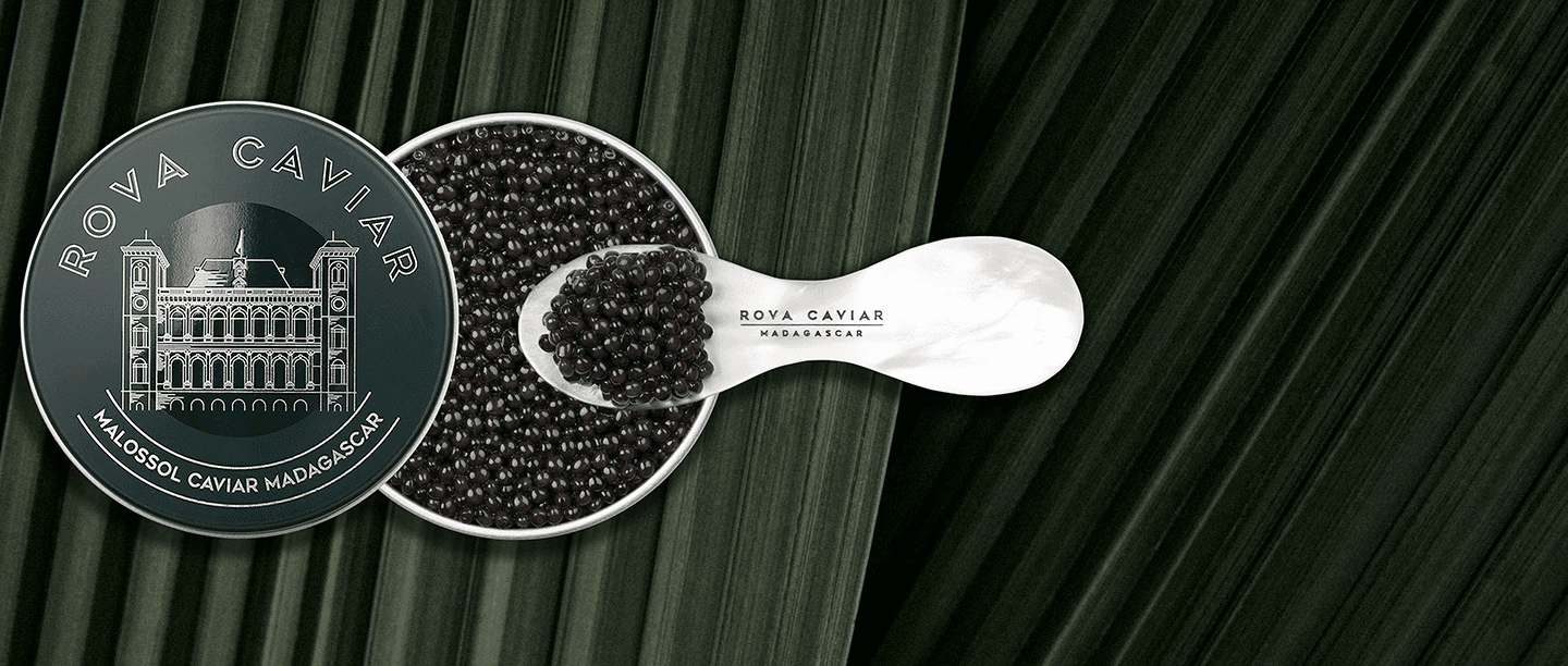 Royal Persicus - Rova Caviar Madagascar