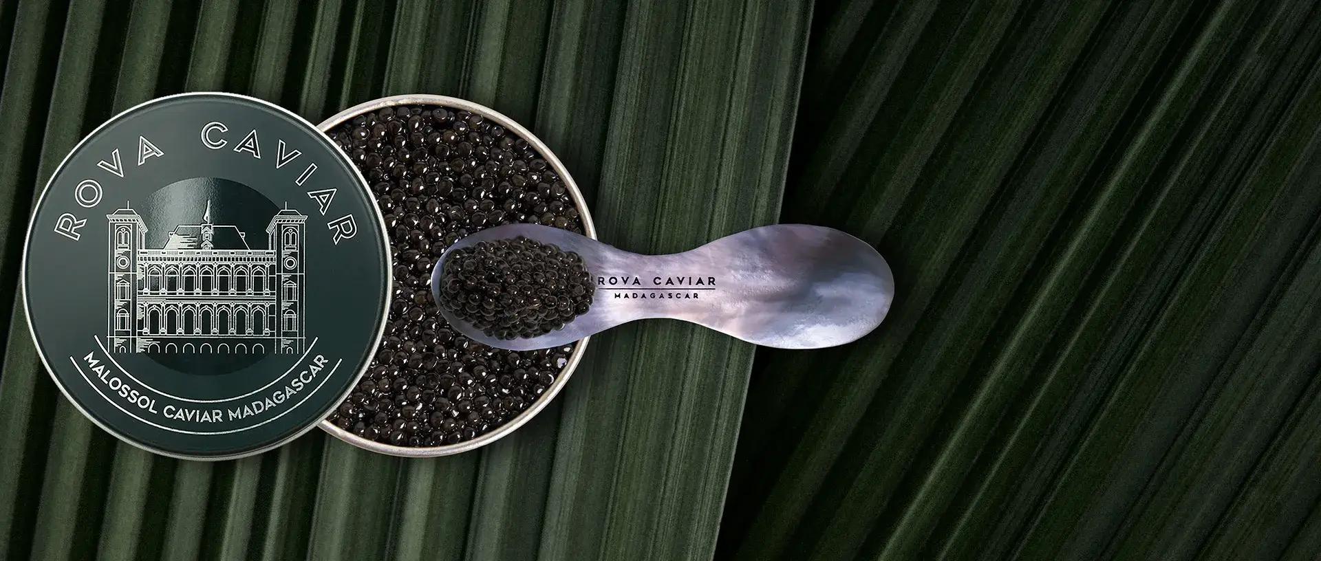 Royal Persicus - Rova Caviar Madagascar