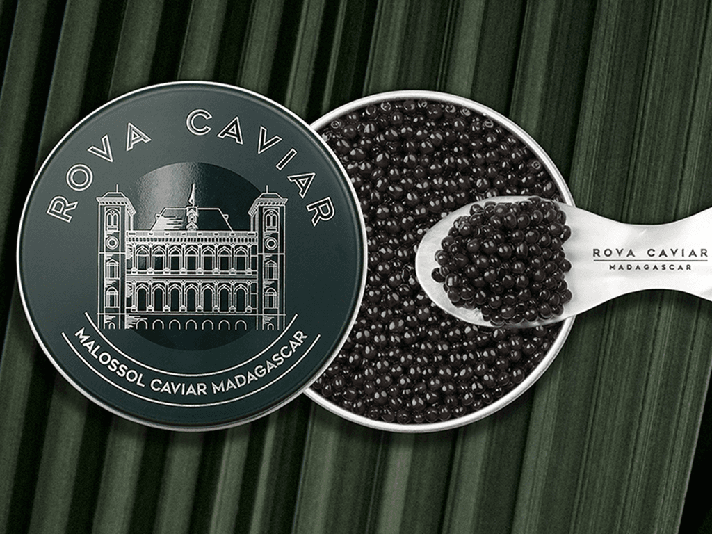 Persicus Royal - Rova Caviar Madagascar