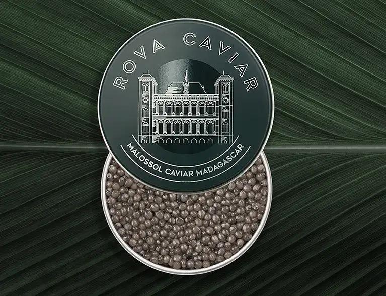 Supreme Ossetra - Rova Caviar Madagascar