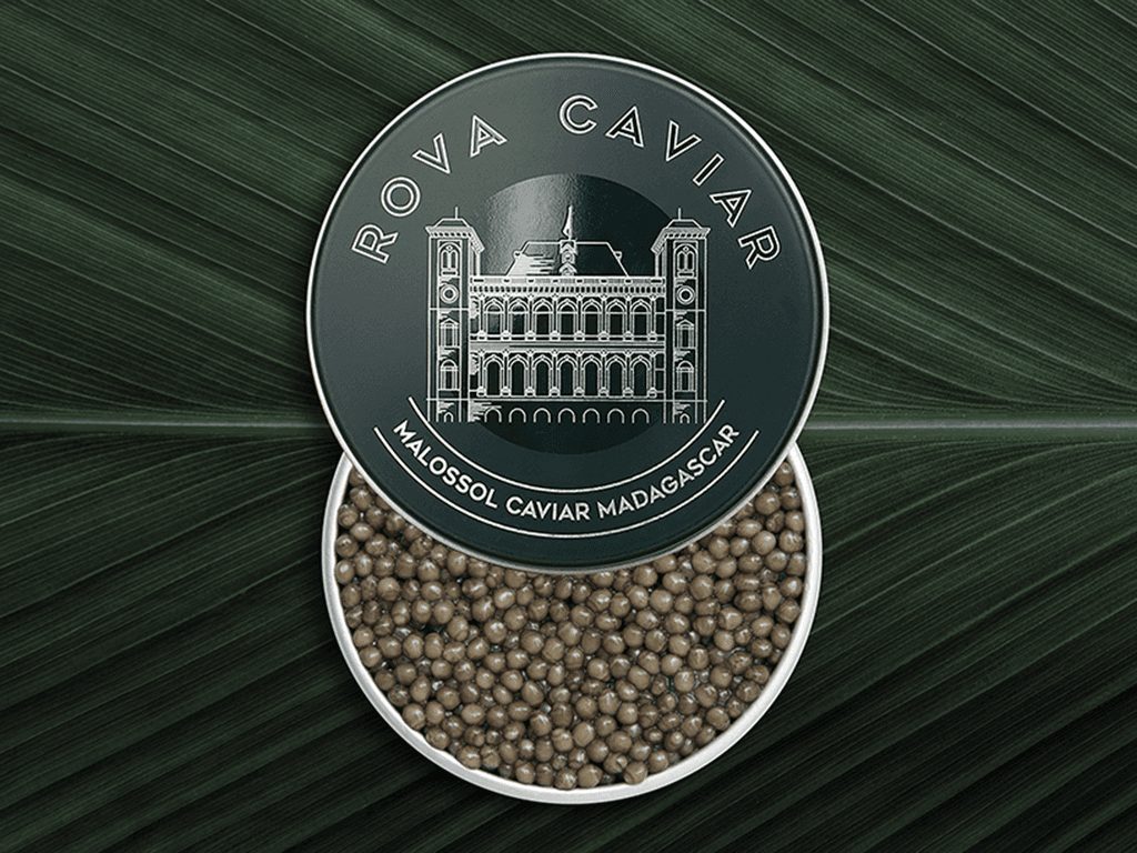 Osciètre Suprême - Rova Caviar Madagascar