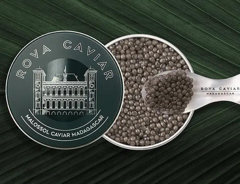 Osciètre Suprême - Rova Caviar Madagascar