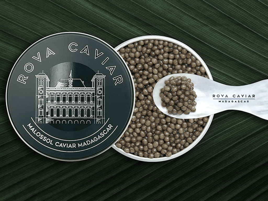 Osciètre Suprême - Rova Caviar Madagascar