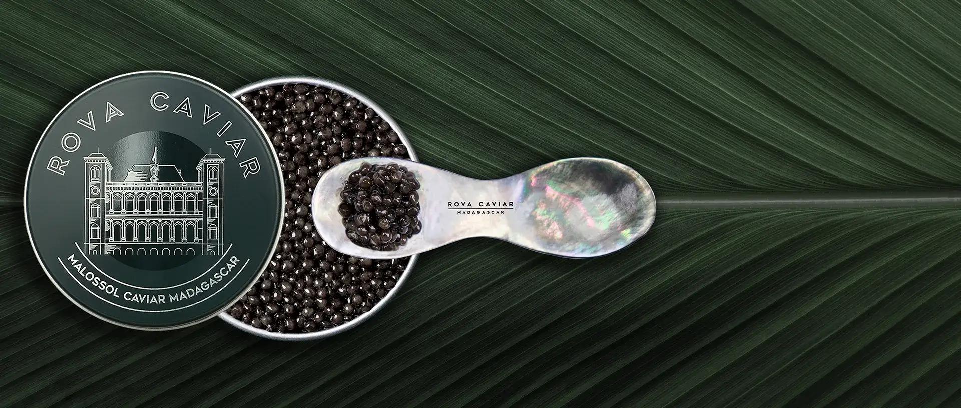 Royal Ossetra - Rova Caviar Madagascar