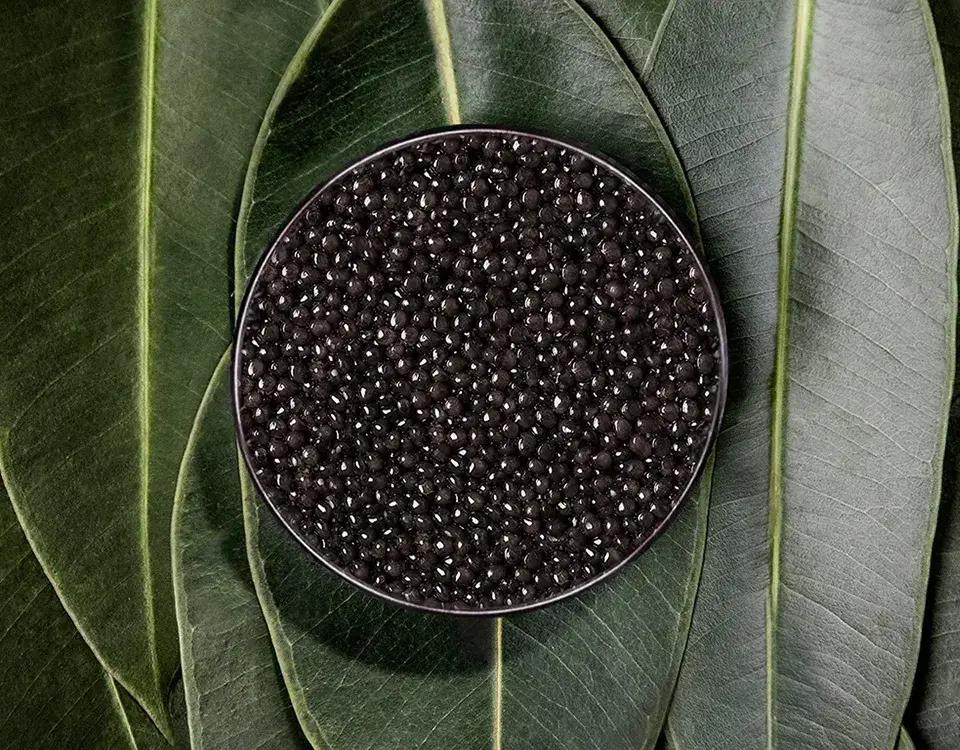 Imperial Baeri - Rova Caviar Madagascar
