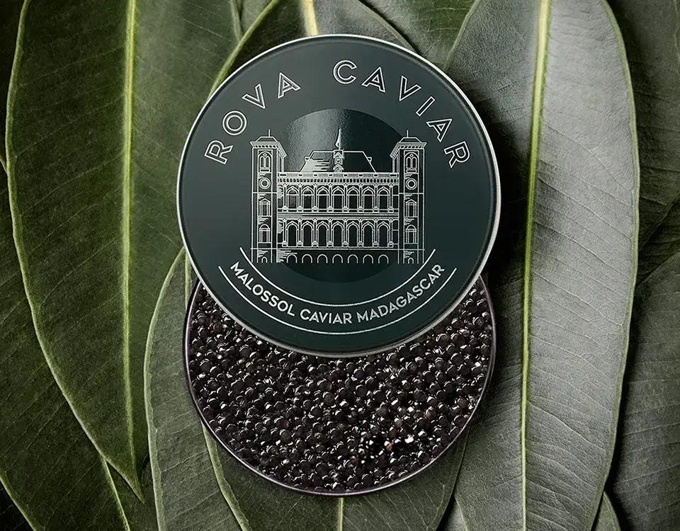Baeri Royal - Rova Caviar Madagascar