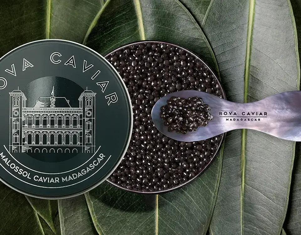 Baeri Royal - Rova Caviar Madagascar