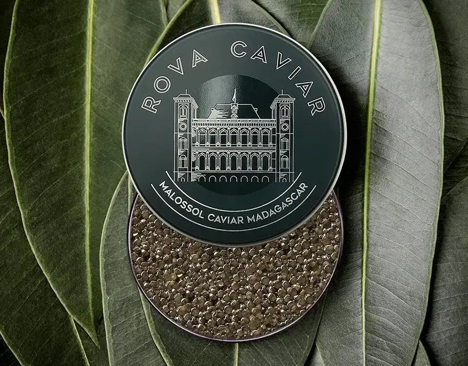 Baeri Suprême - Rova Caviar Madagascar