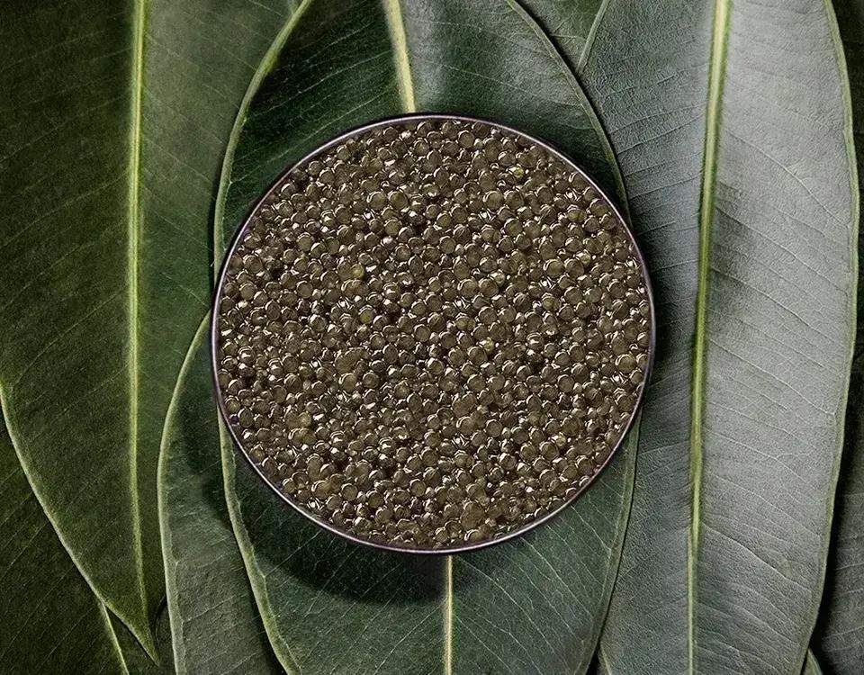 Baeri Suprême - Rova Caviar Madagascar