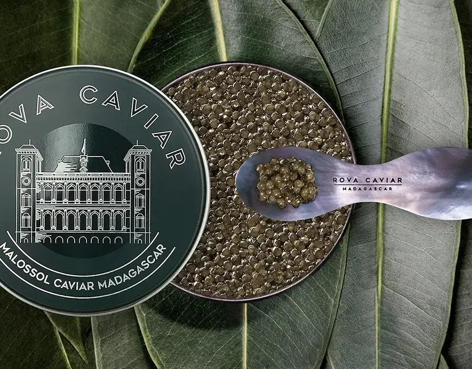 Supreme Baeri - Rova Caviar Madagascar