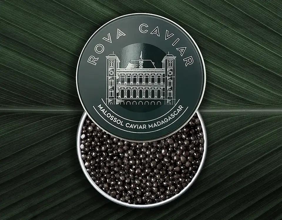 Osciètre Royal - Rova Caviar Madagascar