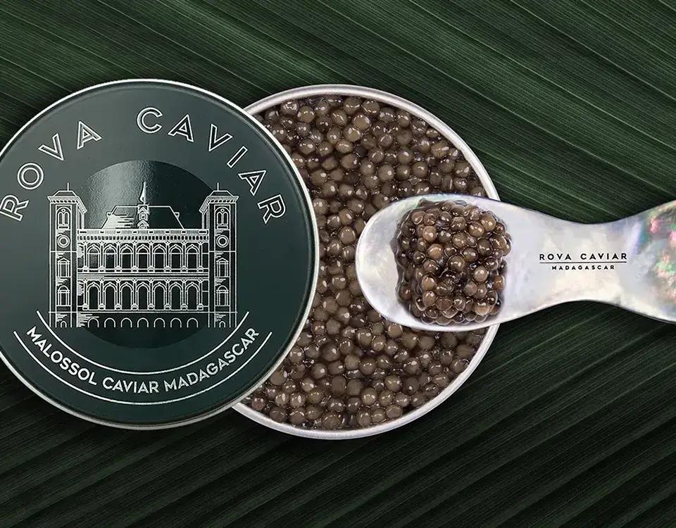 Osciètre Imperial - Rova Caviar Madagascar