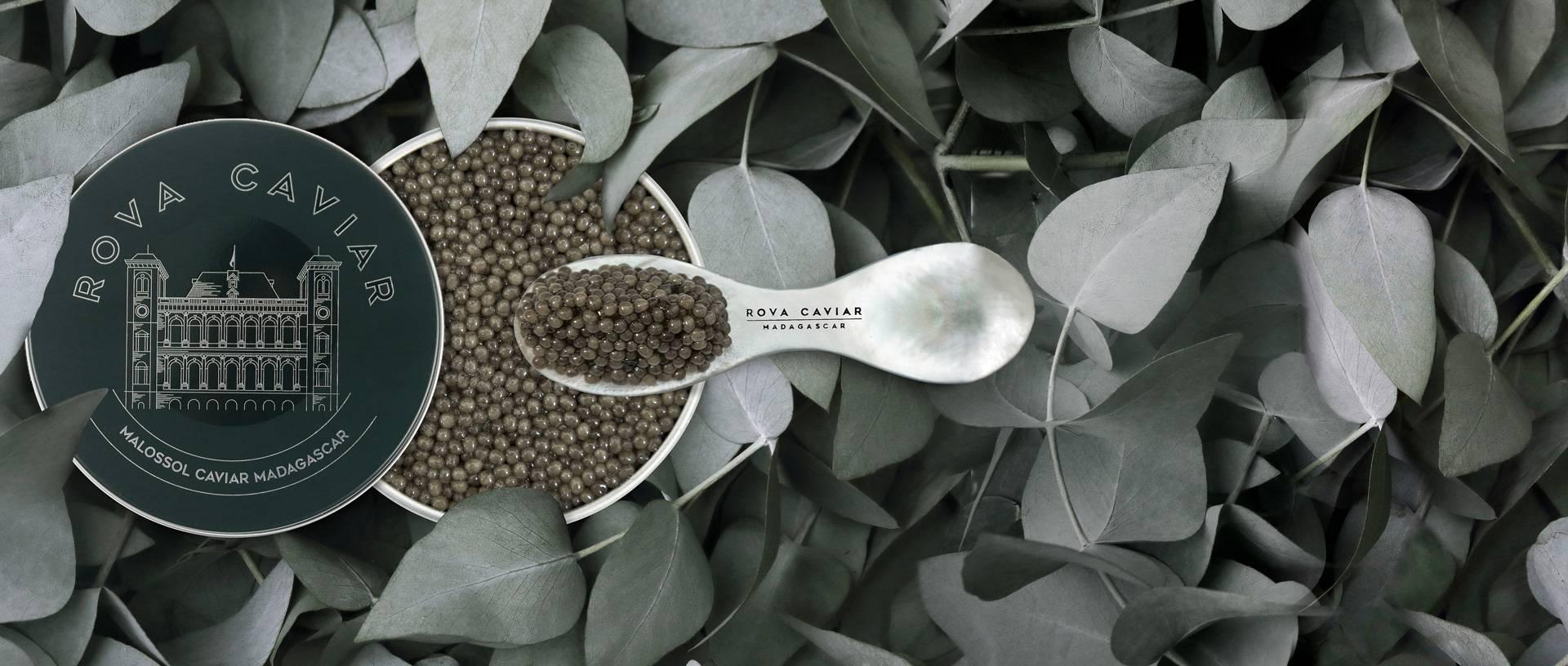 Shipova Royal - Rova Caviar Madagascar