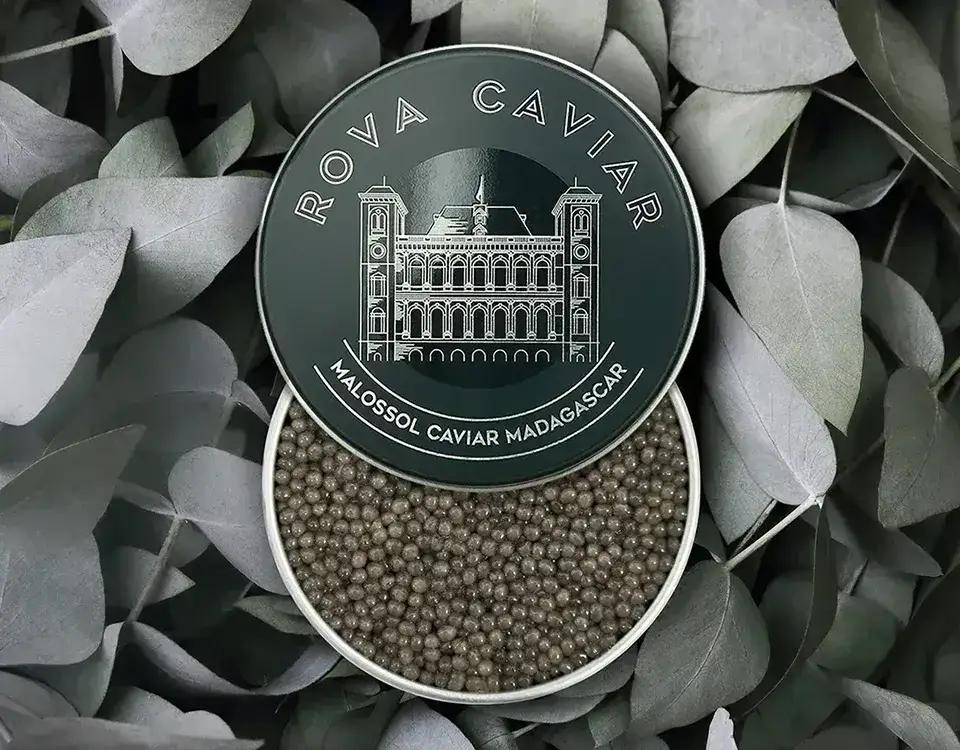 Royal Shipova - Rova Caviar Madagascar