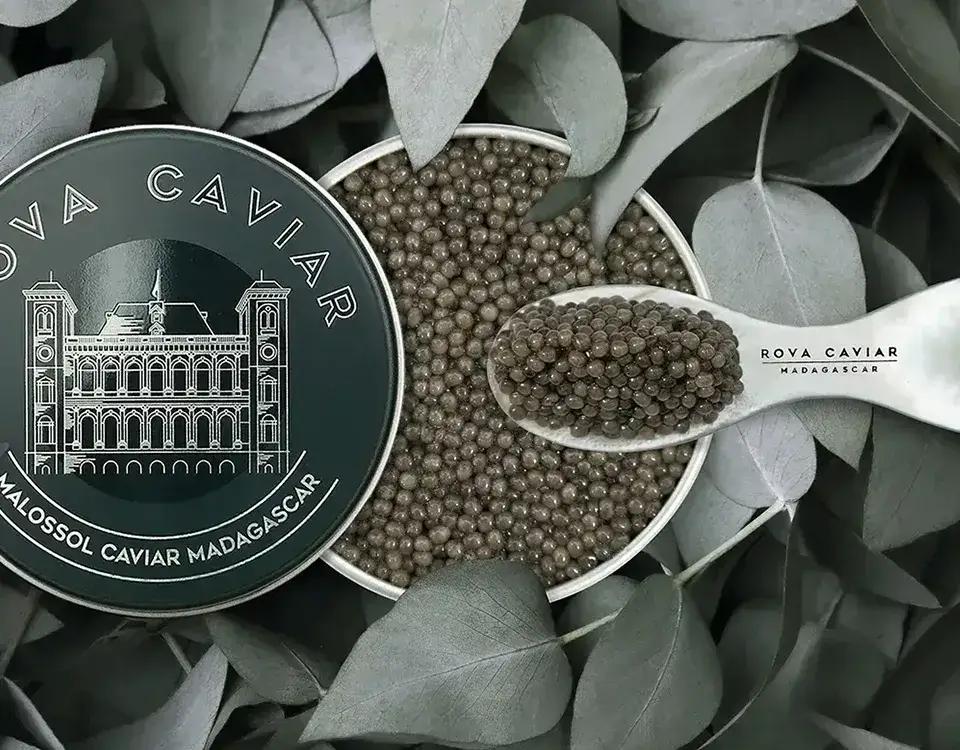 Shipova Royal - Rova Caviar Madagascar