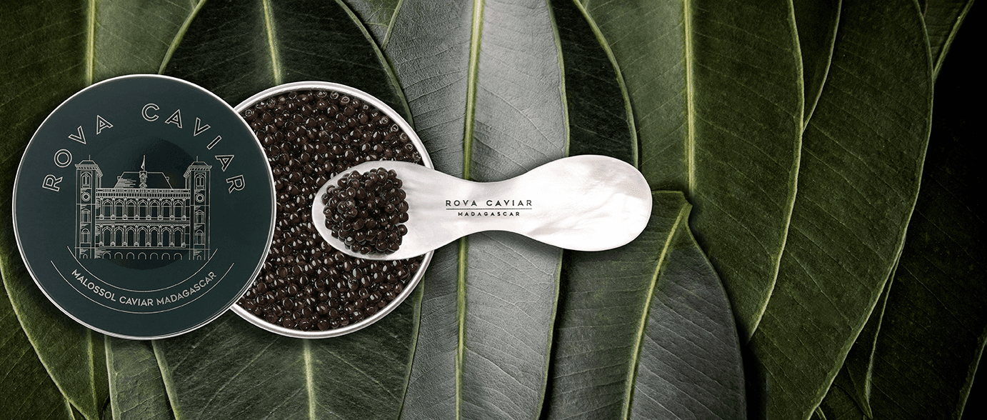 Baeri Imperial - Rova Caviar Madagascar