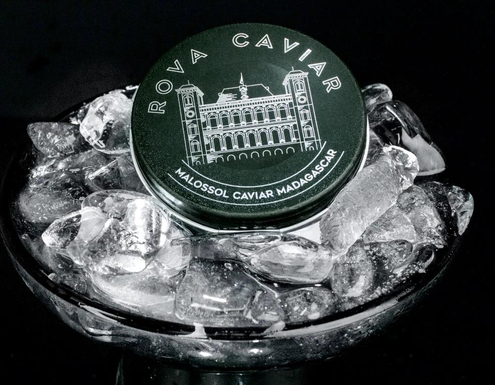 Boîte fermée de caviar Rova sur lit de glace pilée
