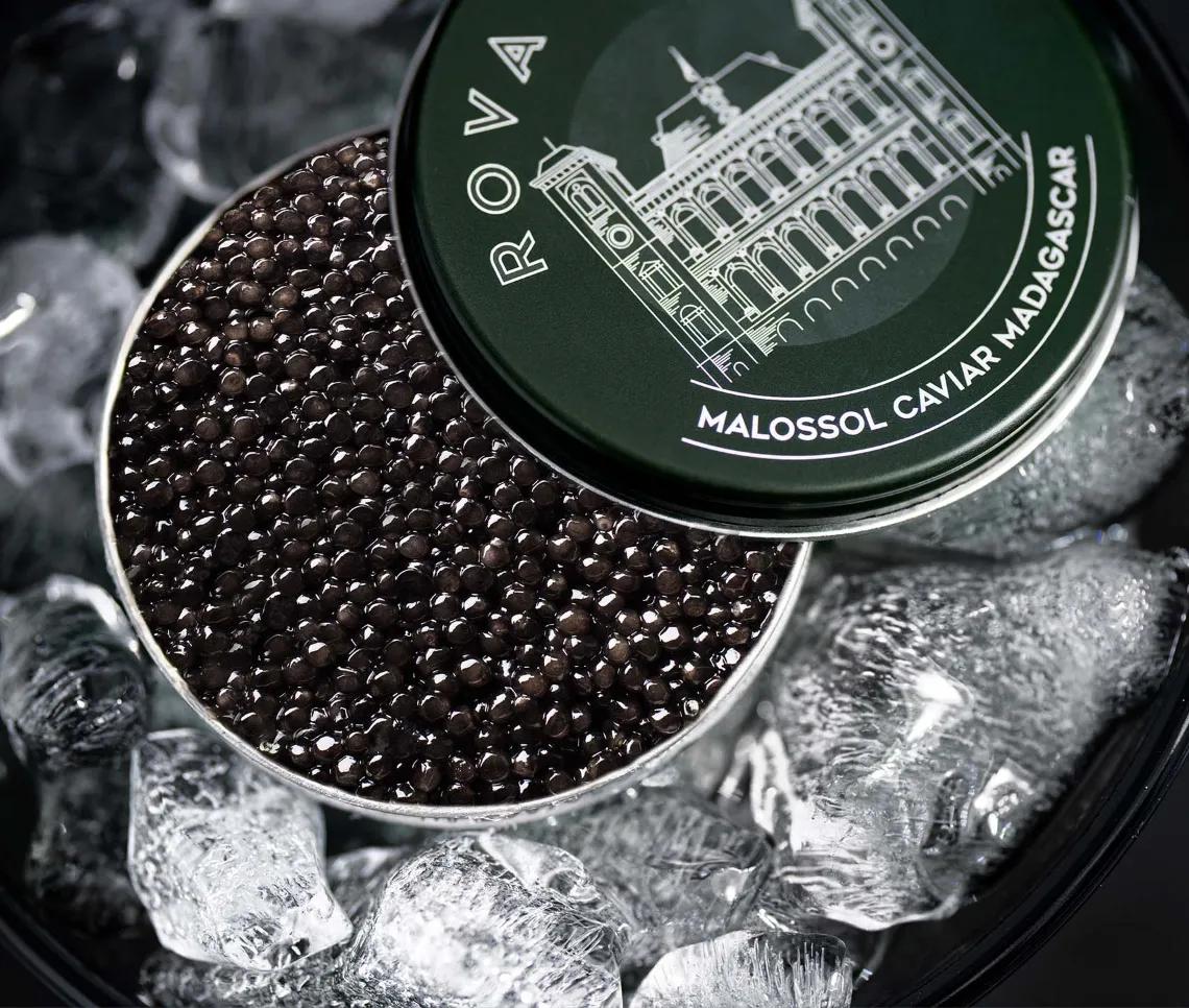 Open Baeri Caviar Box on a bed of crushed ice