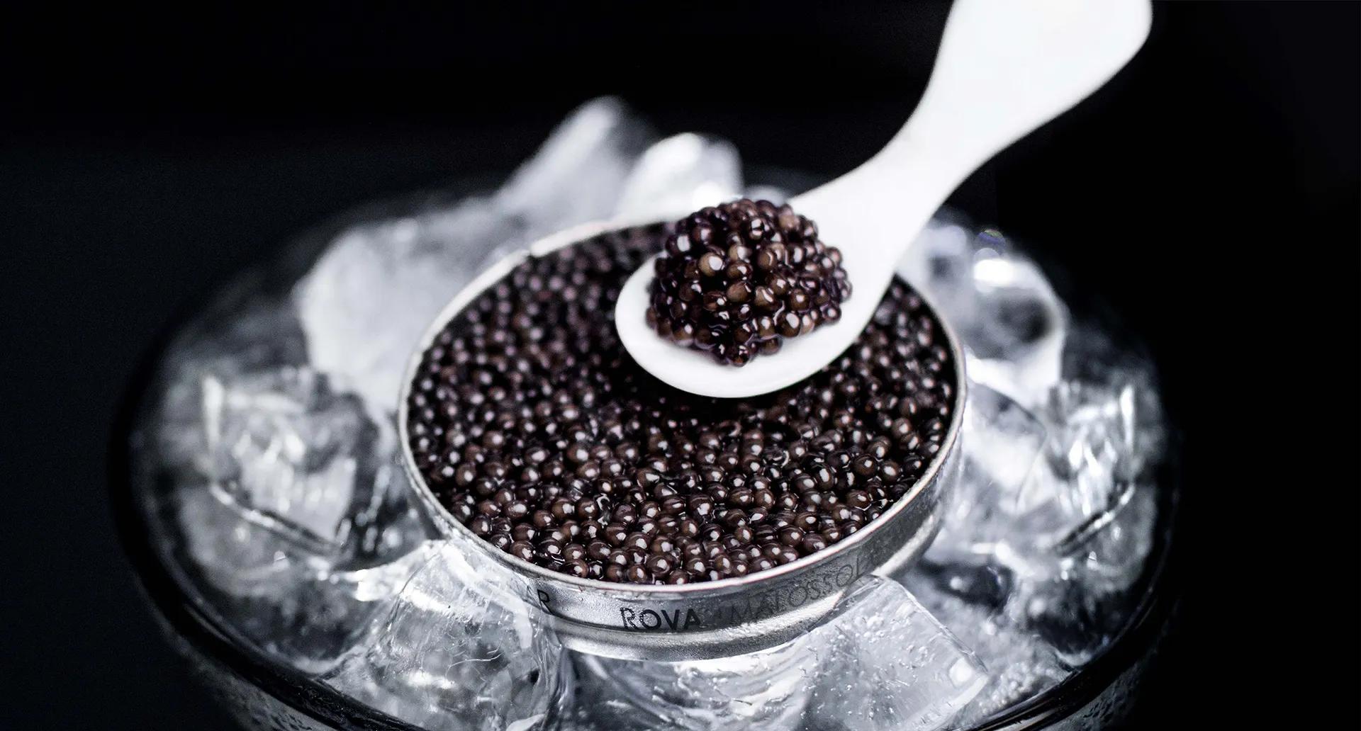 Boîte de caviar Baeri ouverte sur lit de glace pilée avec cuillère en nacre