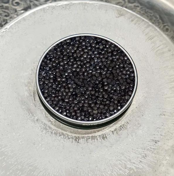 Boîte de caviar sur dôme de glace