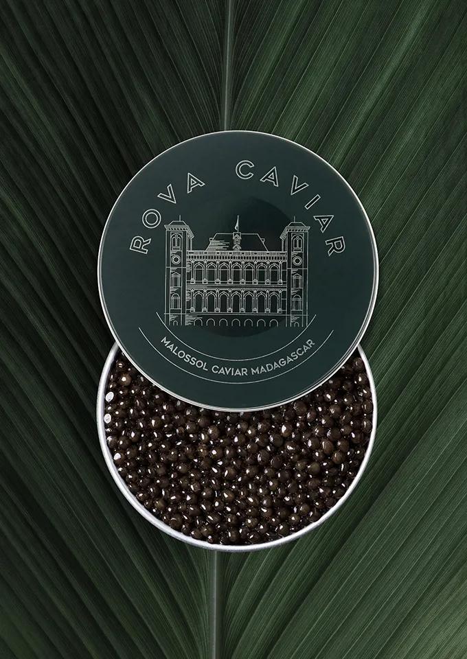 Semi-open box of Ossetra caviar on natural background