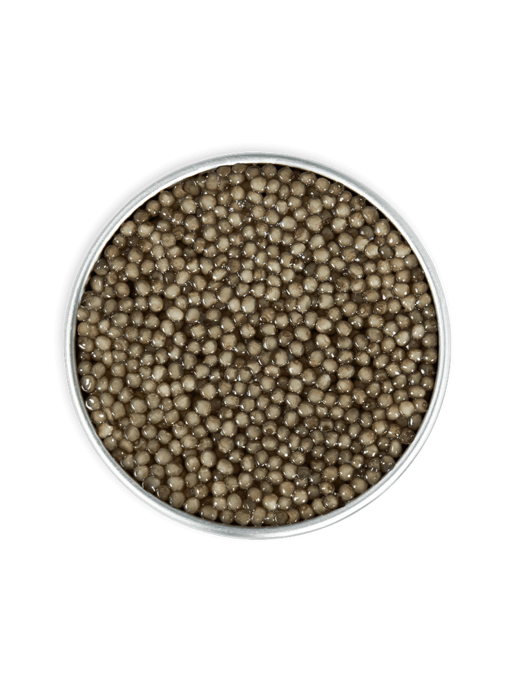 Rova Caviar - Shipova Impérial