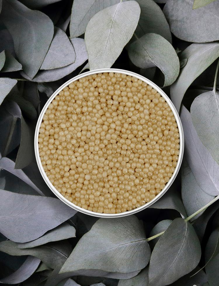 Open box of Shipova Royal caviar on natural background