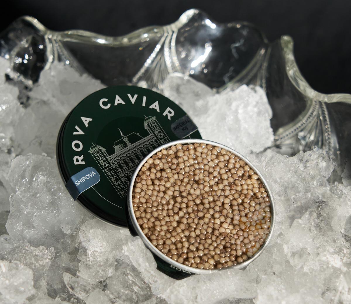 Serving Shipova Caviar sauce on a piece of red tuna