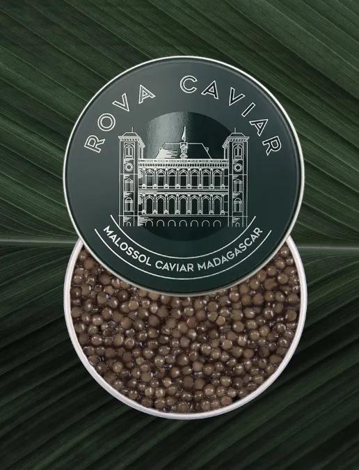 Semi-open box of Imperial Ossetra caviar on natural background