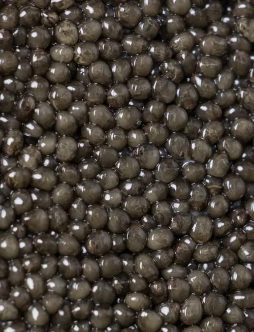 Close-up on Imperial Ossetra caviar beads