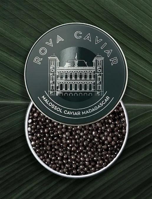 Semi-open box of Royal Ossetra caviar on natural background