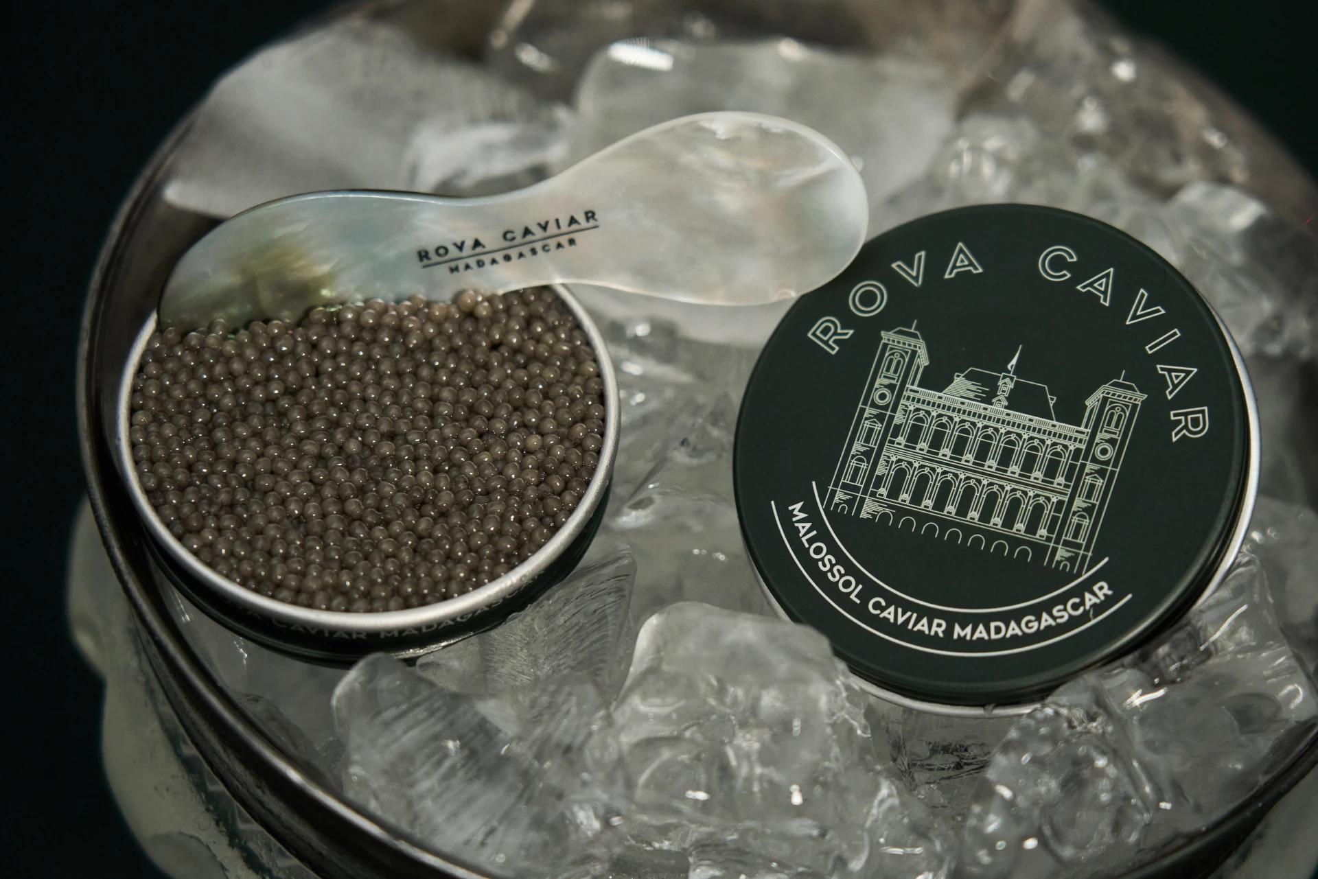 Boîte de caviar Shipova ouverte avec couvercle et cuillère de dégustation
