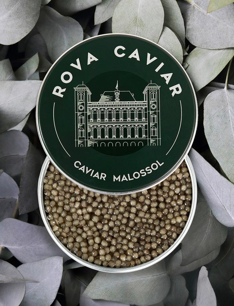 Semi-open box of Shipova Royal caviar on natural background
