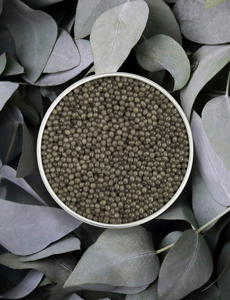 Open box of Shipova Royal caviar on natural background