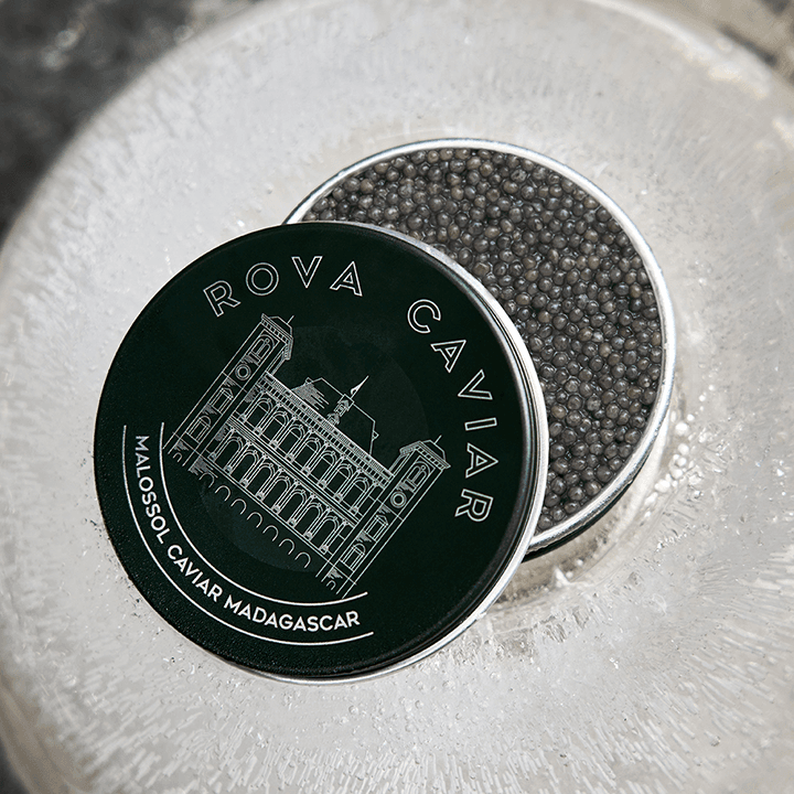 Serving Shipova Caviar sauce on a piece of red tuna