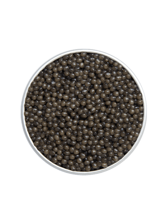Open Ossetra Imperial Caviar Box on natural background