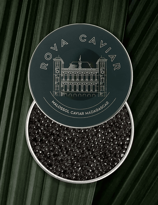 Semi-open box of Persicus Ossetra caviar on natural background