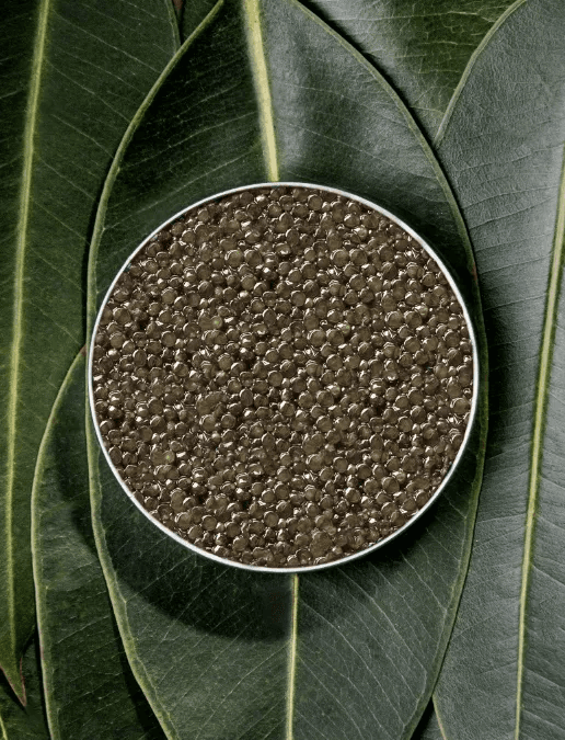 Boîte ouverte de Baeri Supreme sur fond naturel