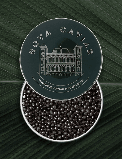 Semi-open box of Royal Ossetra caviar on natural background