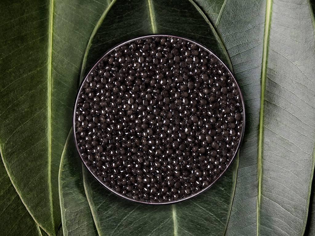 Imperial Baeri - Rova Caviar