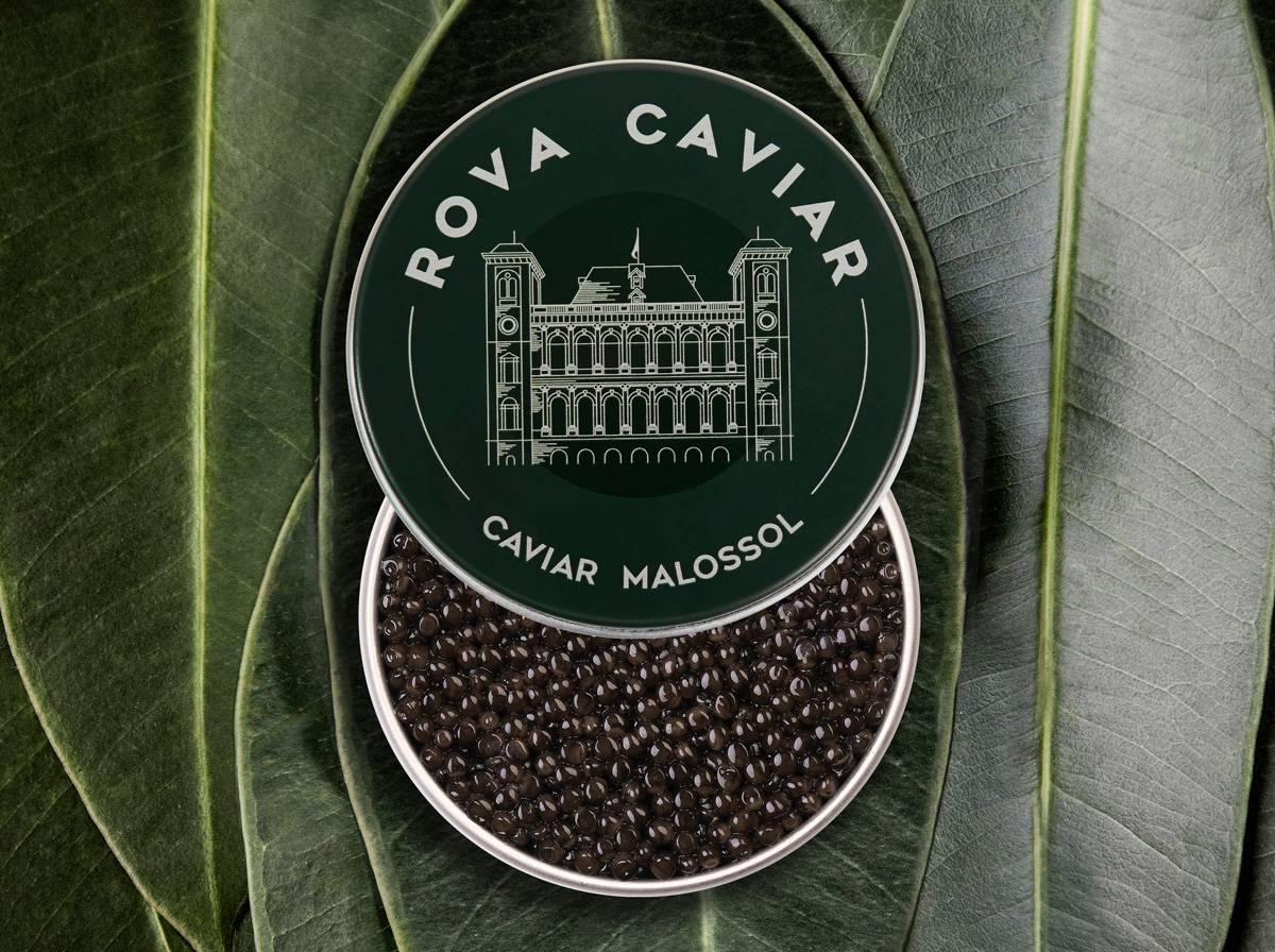 Baeri Royal - Rova Caviar