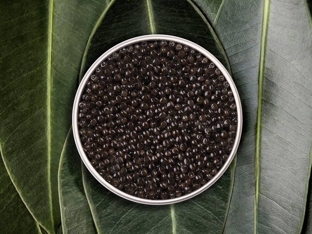 Baeri Royal - Rova Caviar