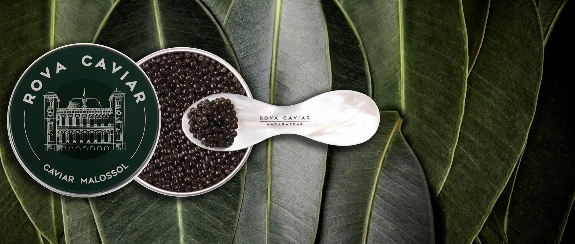 Baeri Royal - Rova Caviar
