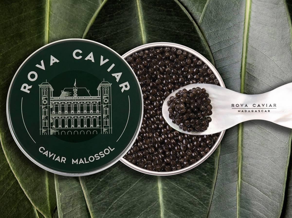 Baeri Royal - Rova Caviar
