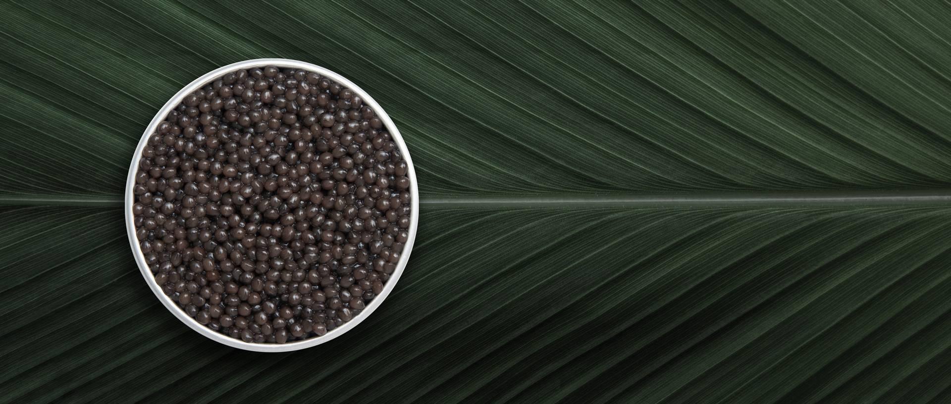 Imperial Ossetra - Rova Caviar