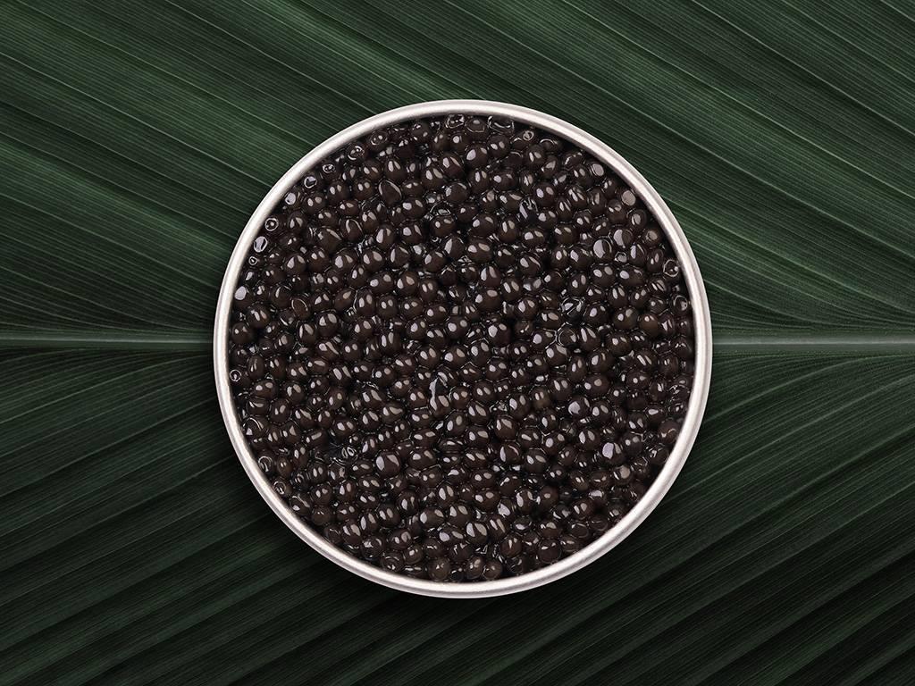 Royal Ossetra - Rova Caviar