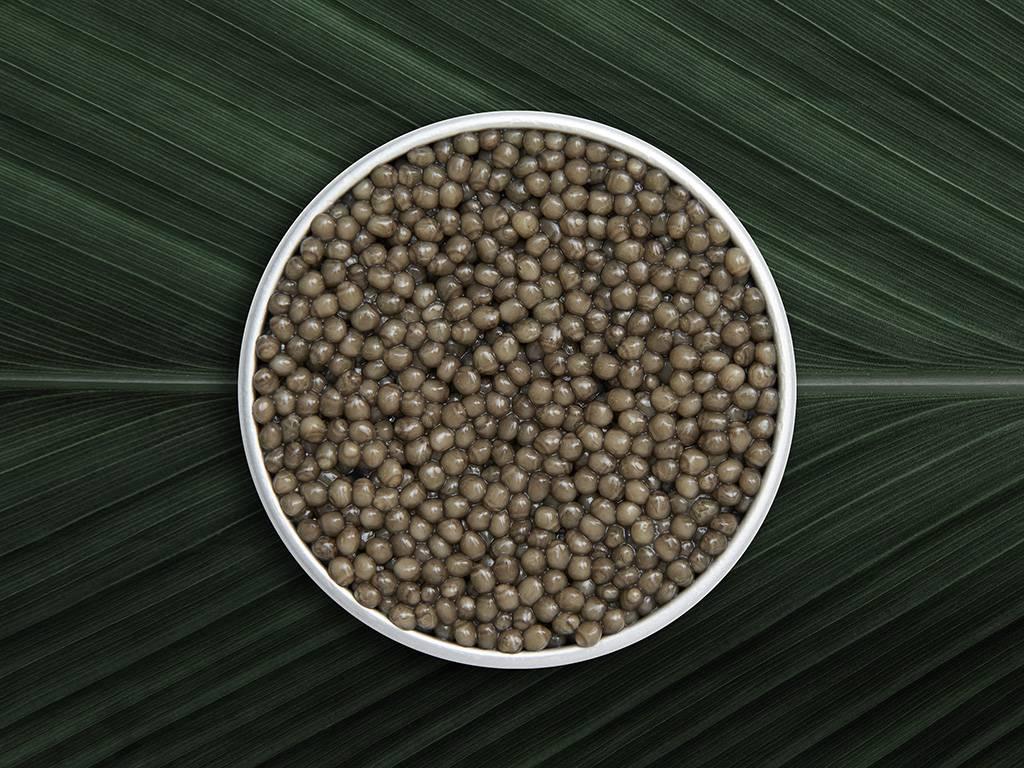 Supreme Ossetra - Rova Caviar