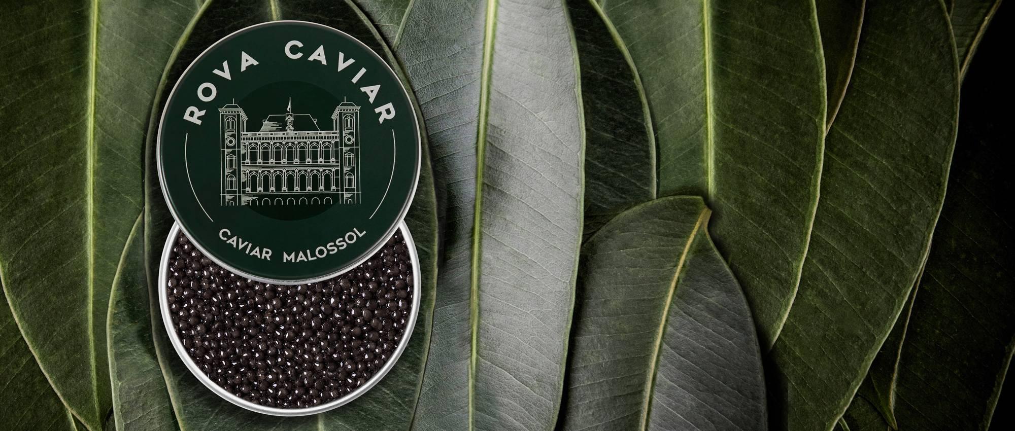 Imperial Baeri - Rova Caviar