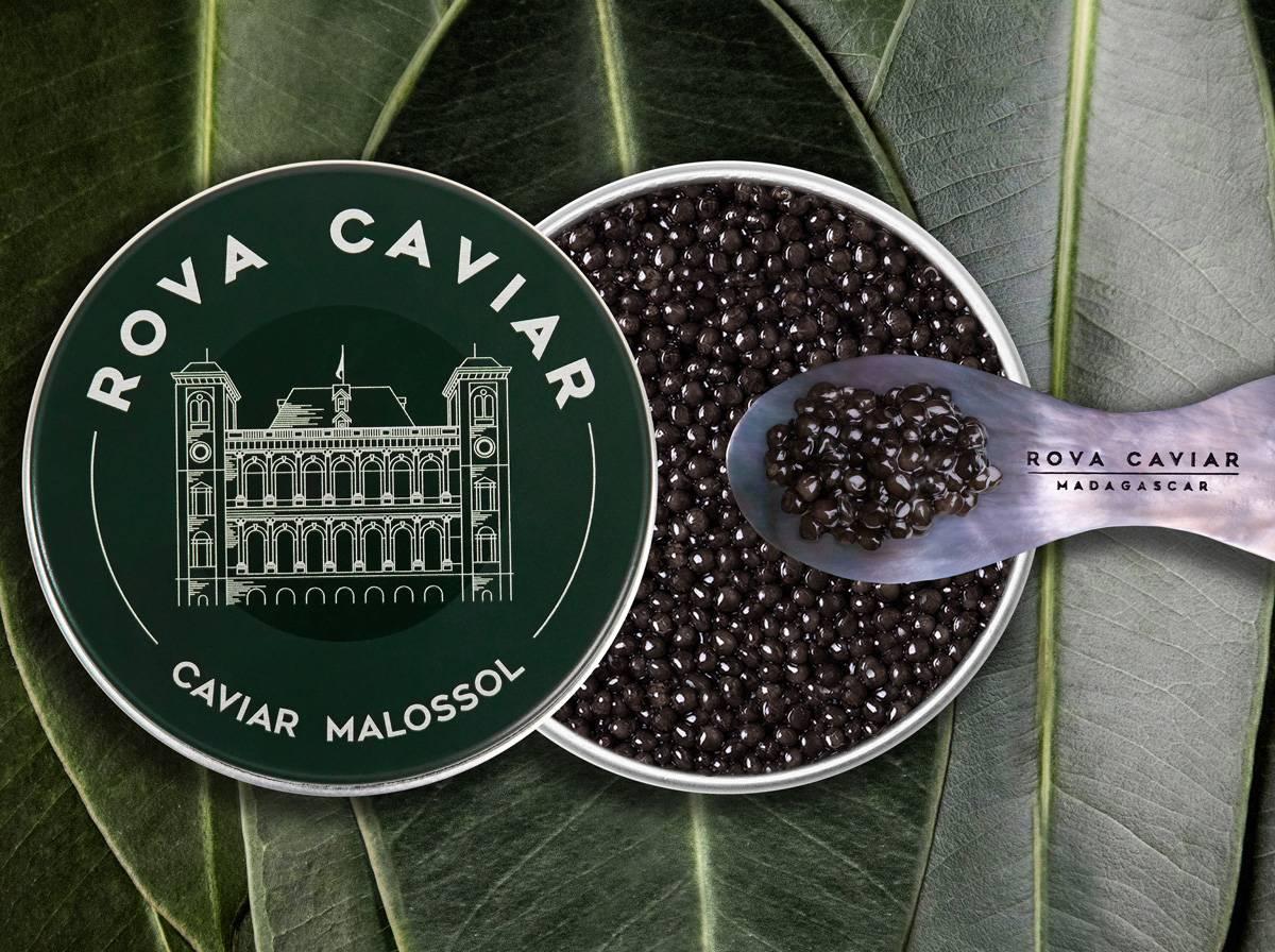 Imperial Baeri - Rova Caviar