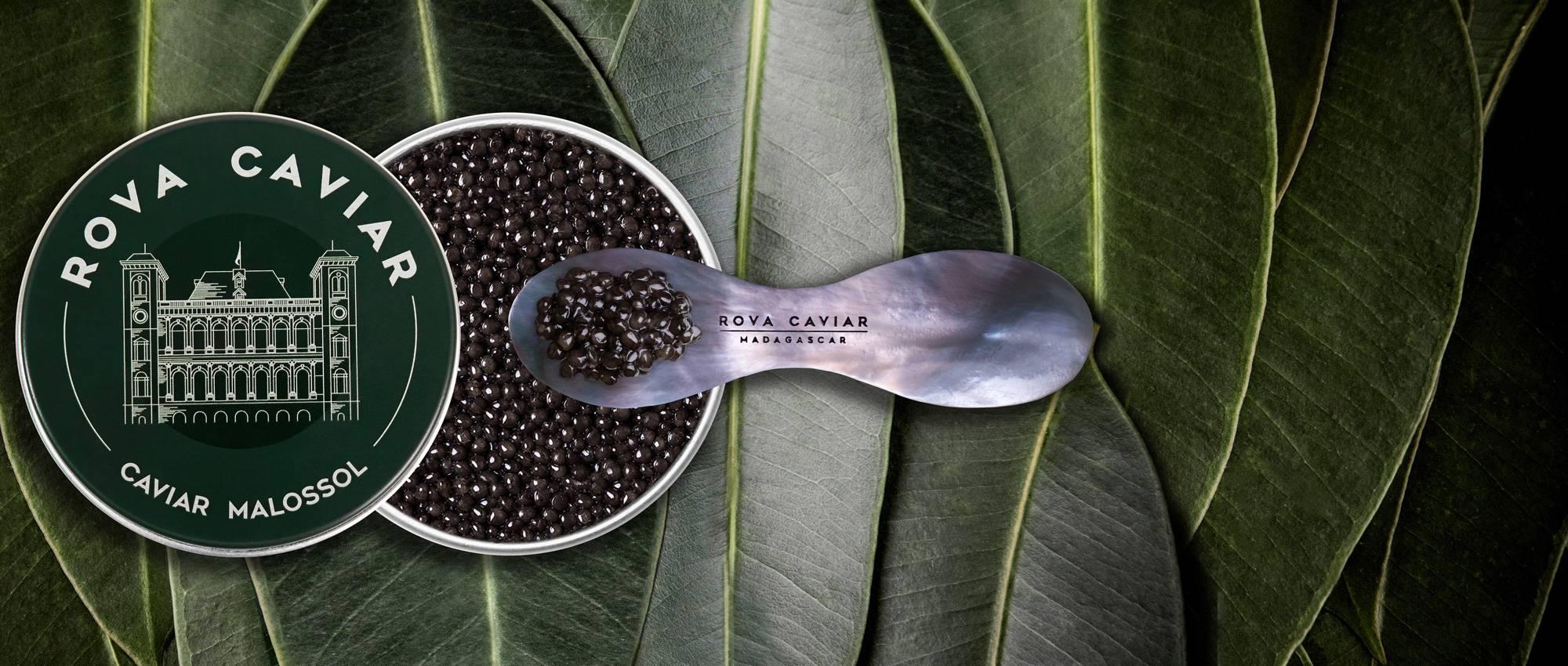 Imperial Baeri - Rova Caviar